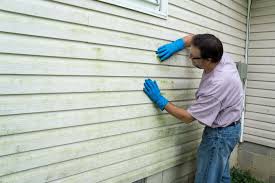 Best Vinyl Siding Installation  in Lanse, MI